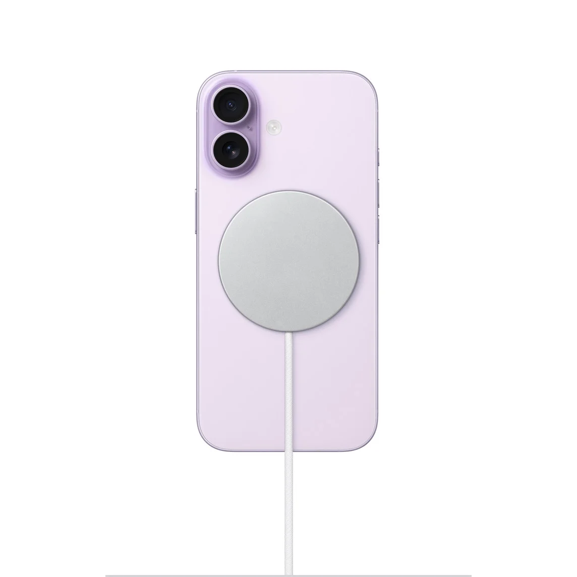 Vue 6